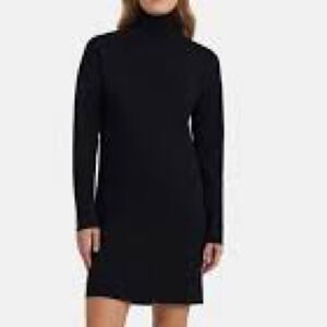Theory Turtle Neck Chunky Sweater Dress